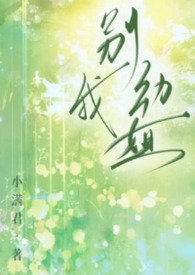 别动我姐妹小说